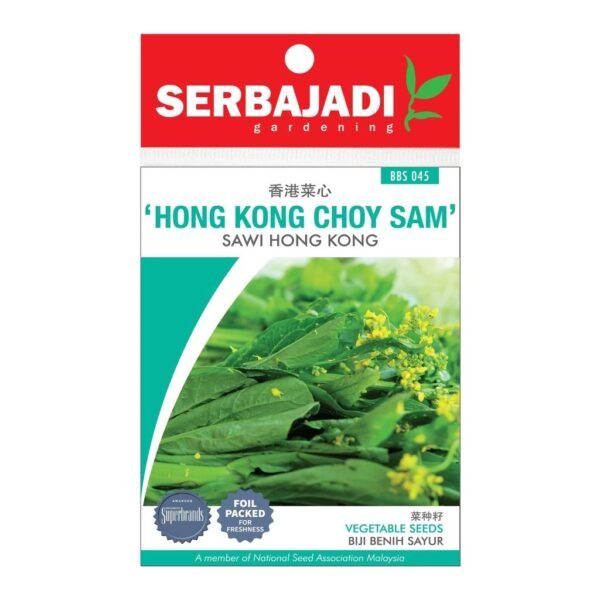 WhatsApp Image 2025-06-06 at 9.33.07 AM (1) Serbajadi Hong Kong Choy Sam Seeds – BBS045
