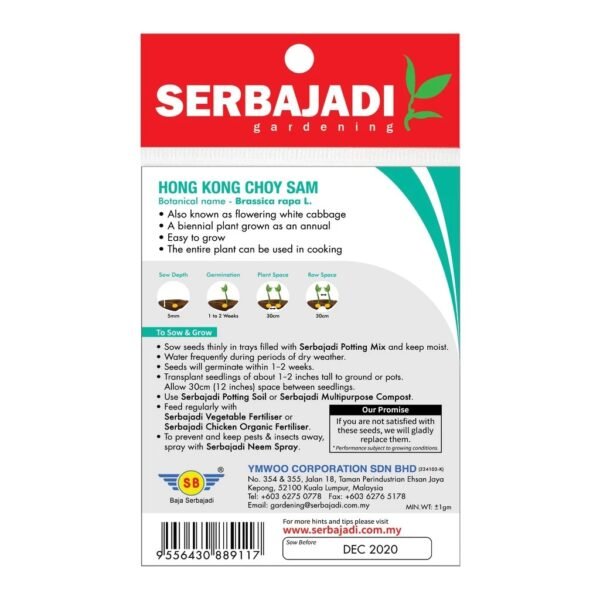 WhatsApp Image 2025-06-06 at 9.33.08 AM Serbajadi Hong Kong Choy Sam Seeds – BBS045